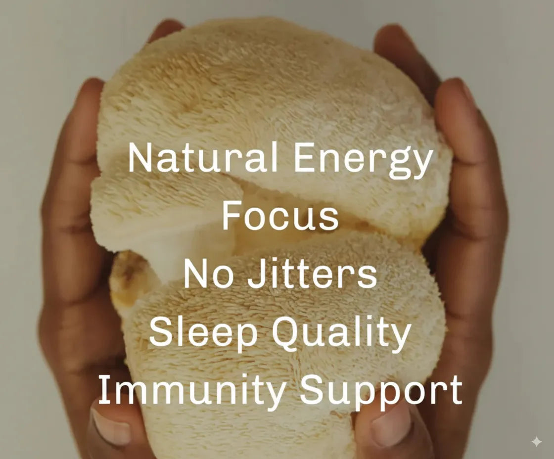 Mushroom Coffee Fusion - Lion’s Mane & Chaga 16oz