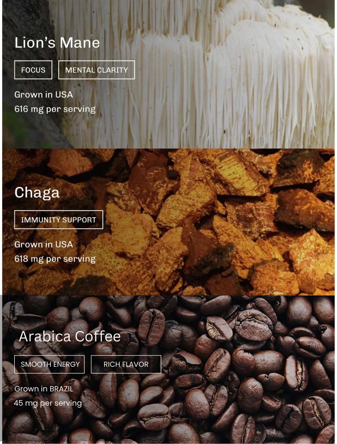 Mushroom Coffee Fusion - Lion’s Mane & Chaga 16oz