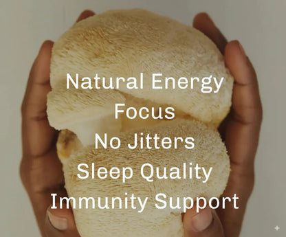 Mushroom Coffee Fusion - Lion’s Mane & Chaga 16oz